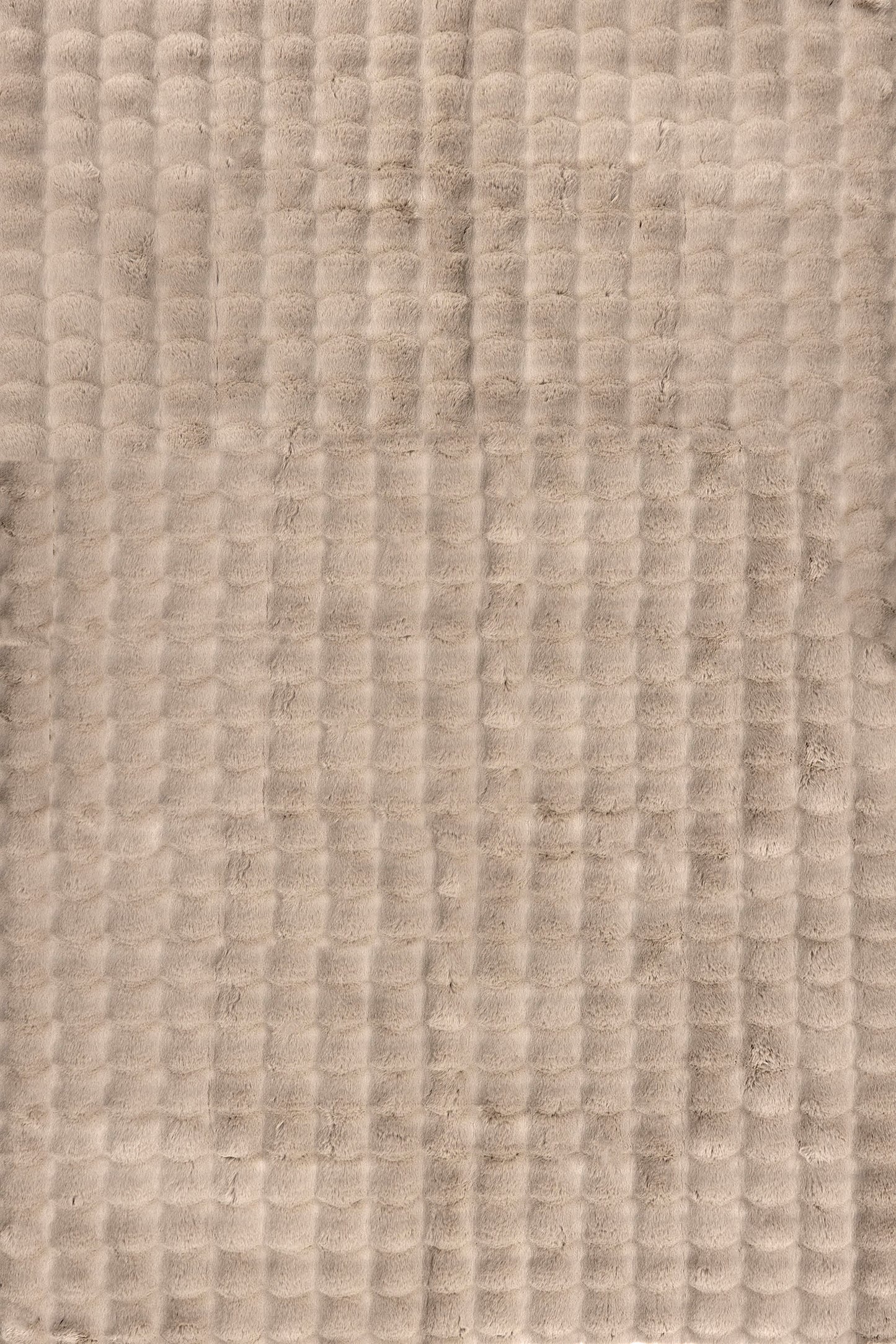 Isolated view of Taupe Rectangle Ivana Checkered Plush Cloud Washable Rug, showcasing its design